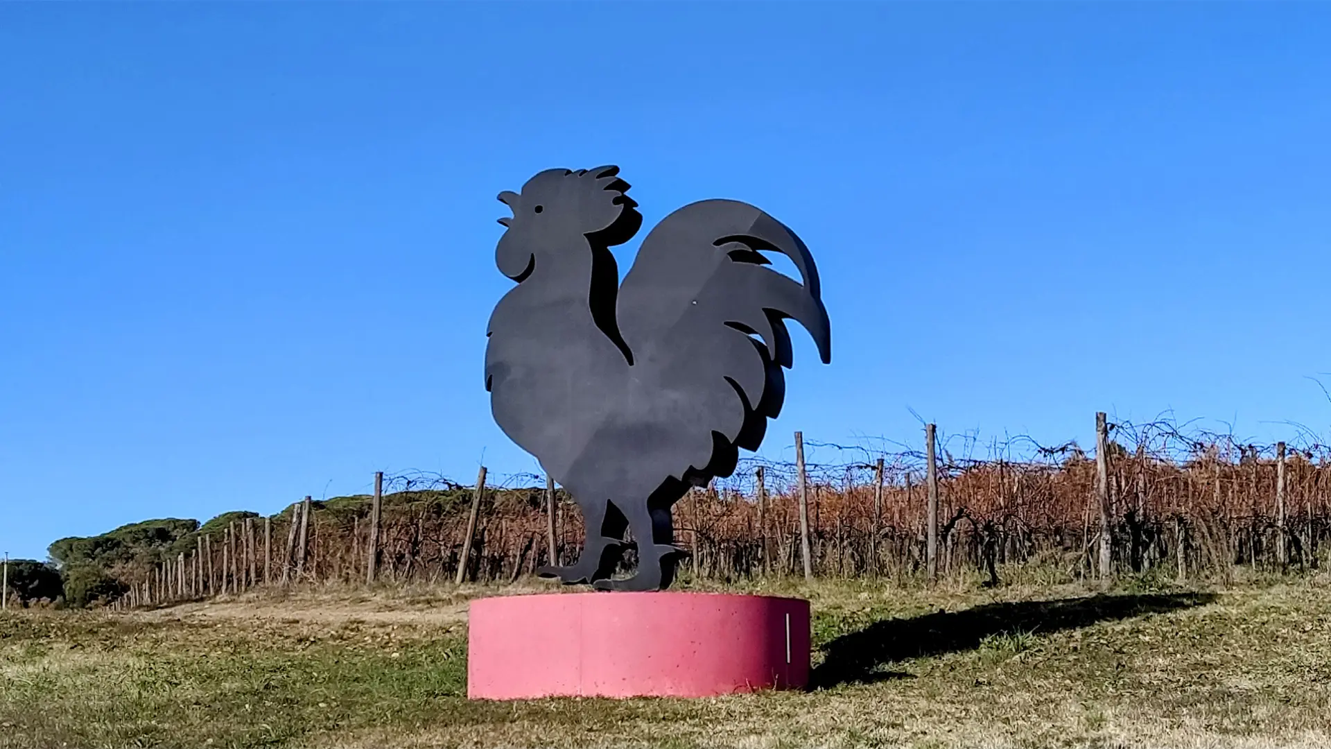 Il simbolo del Chianti Classico: la leggenda del Gallo Nero