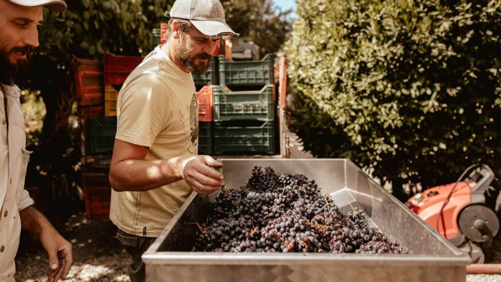 WeHike's tips on what to do in fall in Chianti