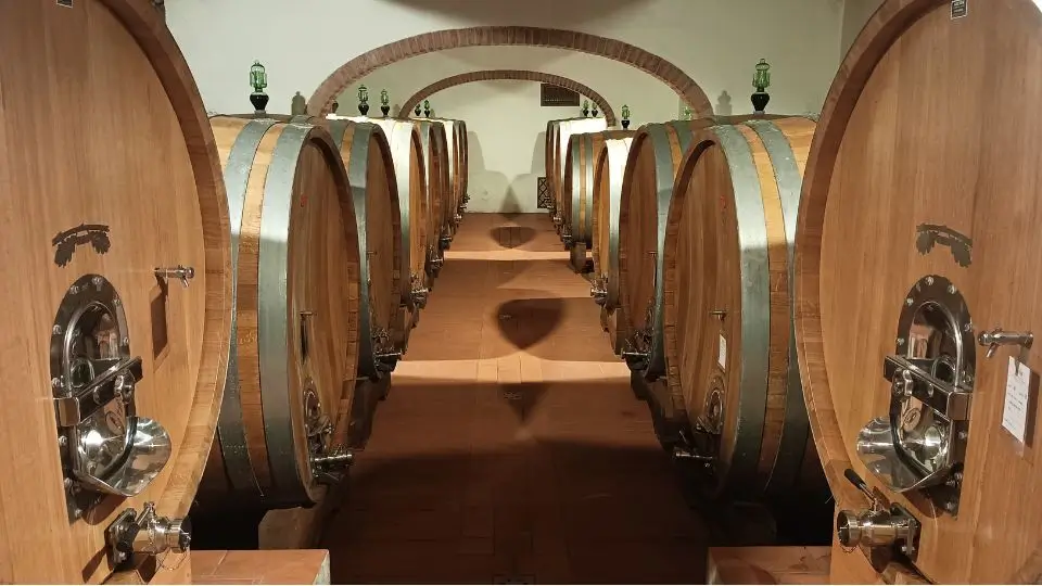Chianti experience with visit to wineries where Chianti Classico is produced