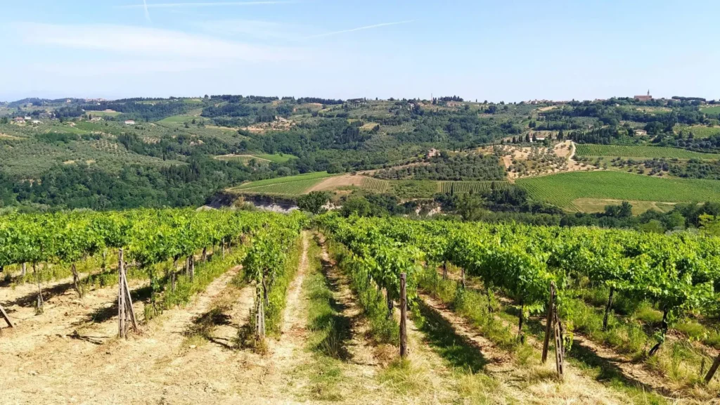 Discover what to do in Chianti with WeHike's guide to the best experiences