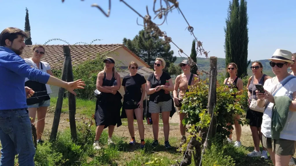 Chianti winery tour experience