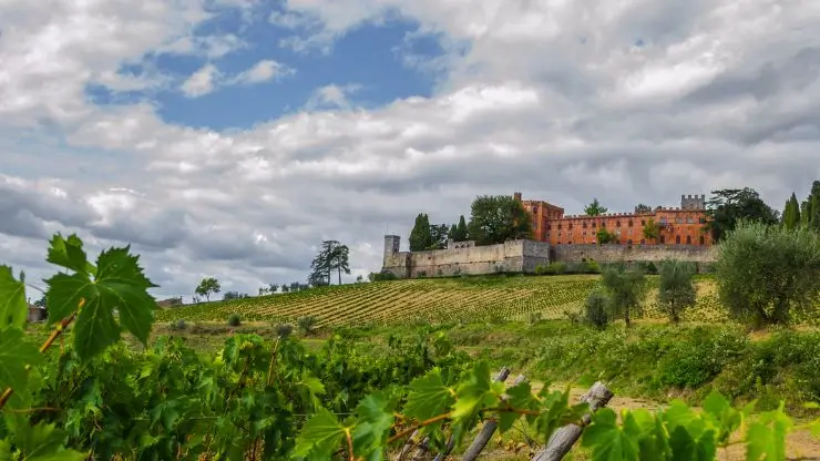 View of Brolio Castle among the vineyards in Gaiole in Chianti, Tuscany