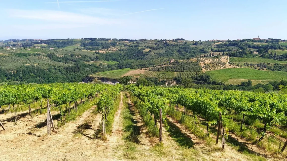 Guide to the best experiences to have in Chianti