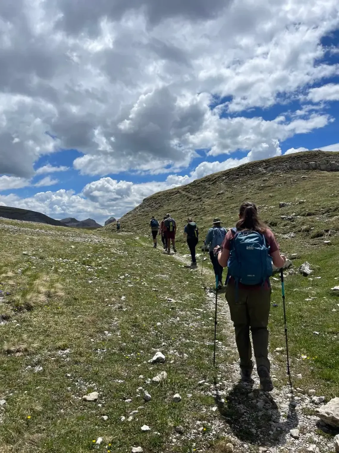 How to Choose the Right Hiking Shoes